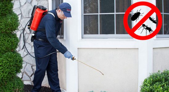 Serik Kemirgen İlaçlama böcek ilaçlama ve haşere kontrolü — ilaclama-tr.com